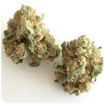 Шишки "White Widow" (Белая вдова) Гидропоника - Бошка VHQ в Вологде Шишки "White Widow" (Белая вдова) Гидропоника - Бошка VHQ в Вологде