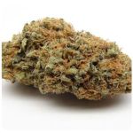 Шишки AK47 (Гидропоника, Бошка) VHQ в Вологде Шишки AK47 (Гидропоника, Бошка) VHQ в Вологде