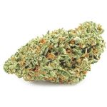 Шишки OG Kush (Гидропоника, бошки) VHQ в Вологде Шишки OG Kush (Гидропоника, бошки) VHQ в Вологде